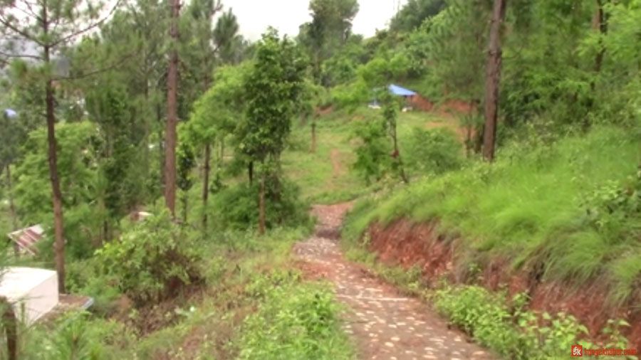 panchthar