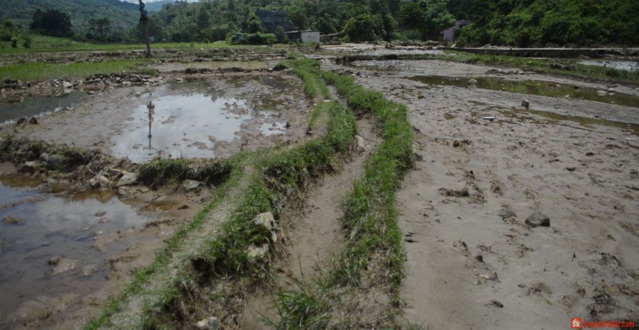 tanahun flood