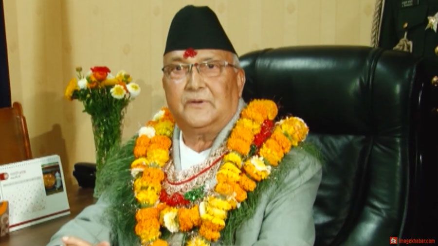 kp oli