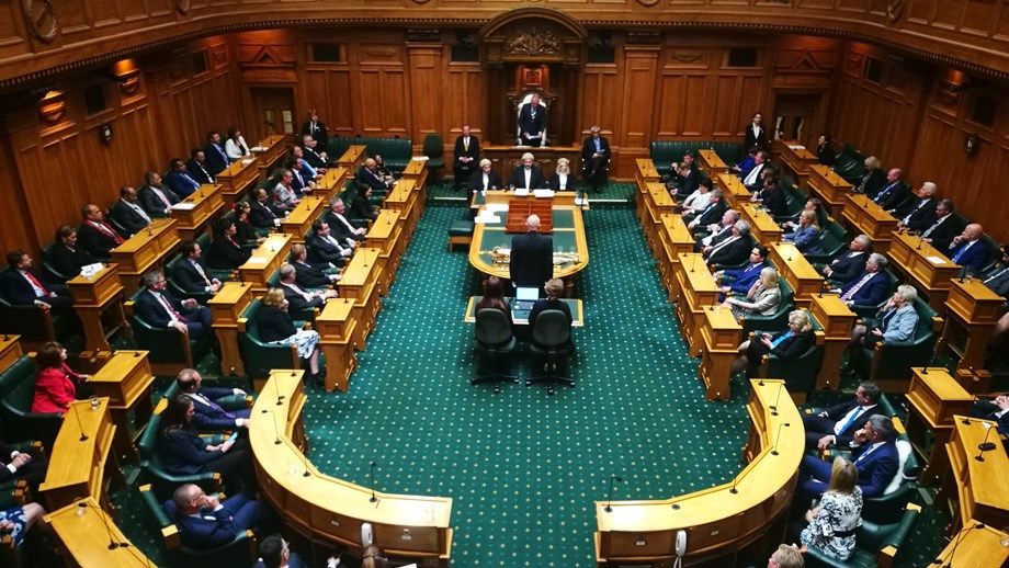 New zealand parliament diversity